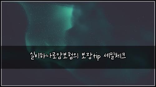 실비하나로암보험의 보장tip 세밀체크