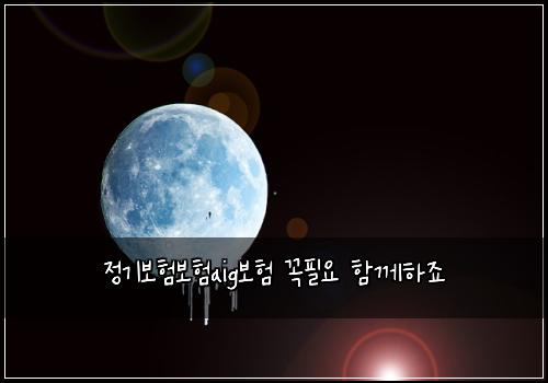 정기보험보험aig보험 꼭필요 함께하죠