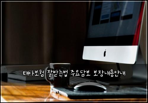 태아보험 잘받는법  주요담보 보장내용안내