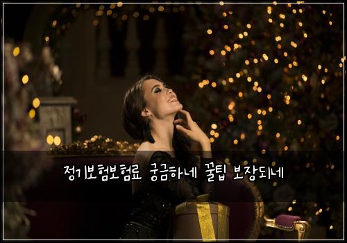 정기보험보험료 궁금하네 꿀팁 보장되네