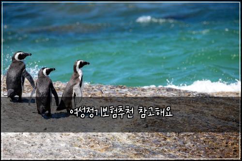 여성정기보험추천 참고해요