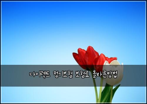 다이렉트 정기보험 보험료 올바른방법