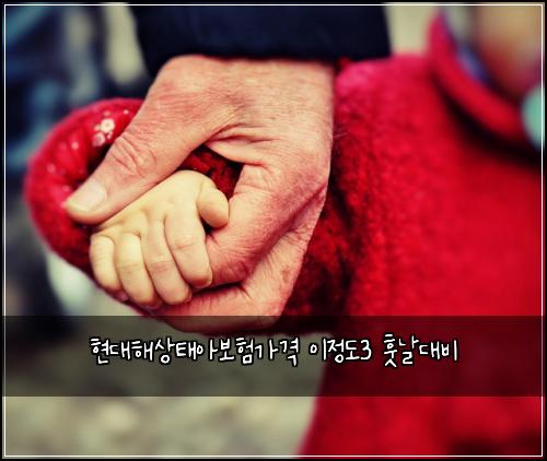 ํ๋ํด์ํ์๋ณดํ๊ฐ๊ฒฉ ์ด์ ๋3 ํ๋ ๋๋น