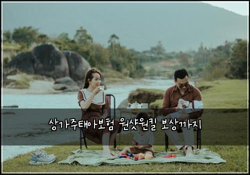 상가주태아보험 원샷원킬  보상까지