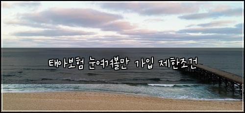 태아보험 눈여겨볼만  가입 제한조건