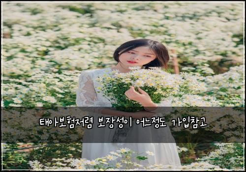 태아보험저렴 보장성이 어느정도 가입참고