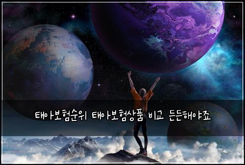 태아보험순위 태아보험상품 비교 든든해야죠