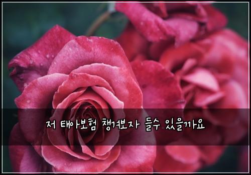 저 태아보험 챙겨보자  들수 있을까요