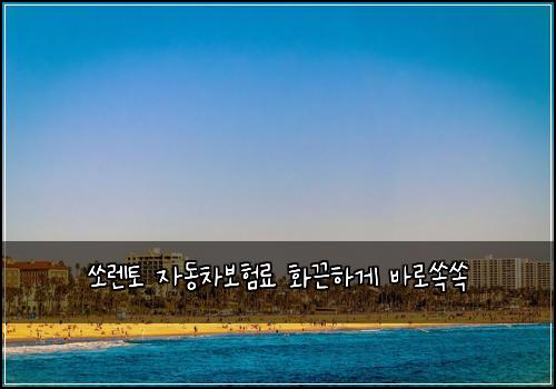 쏘렌토 자동차보험료 화끈하게 바로쏙쏙