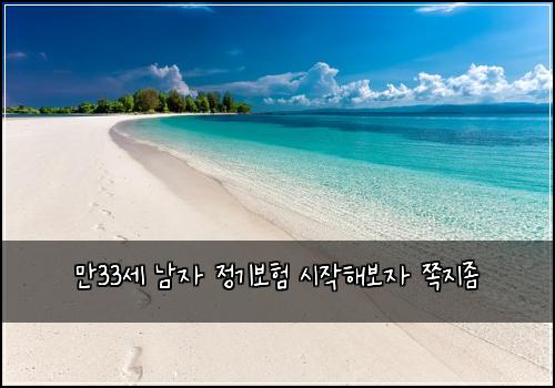만33세 남자 정기보험 시작해보자  쪽지좀