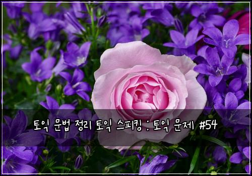 토익 문법 정리 토익 스피킹 : 토익 문제 #54