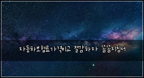 자동차보험료가격비교 절감하자 꼼꼼지침서