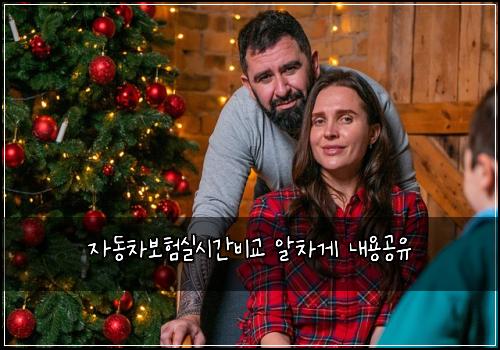자동차보험실시간비교 알차게 내용공유
