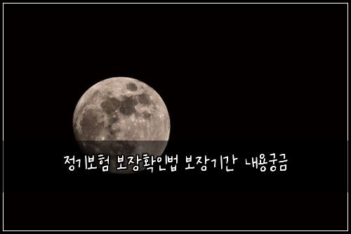 정기보험 보장확인법  보장기간 내용궁금