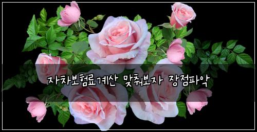 자차보험료계산 맞춰보자 장점파악