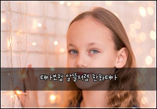 태아보험 알뜰저렴  한화태아