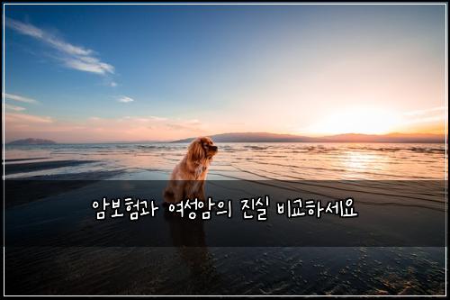 암보험과 여성암의 진실 비교하세요
