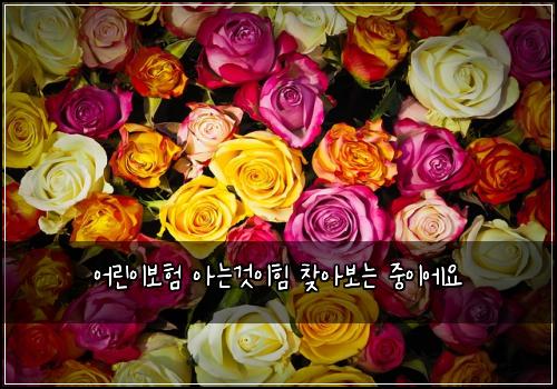 어린이보험 아는것이힘  찾아보는 중이에요