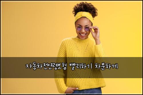 자동차전연령보험 빨리하기  차분하게
