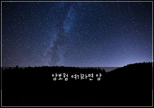 암보험 여기라면  암