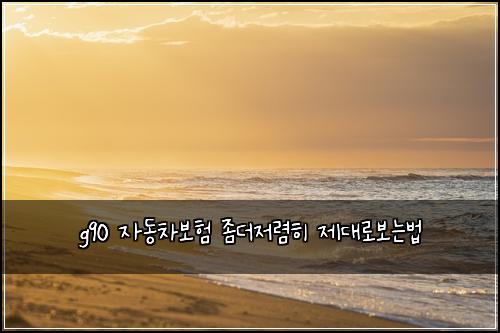 g90 ์๋์ฐจ๋ณดํ ์ข๋์ ๋ ดํ ์ ๋๋ก๋ณด๋๋ฒ