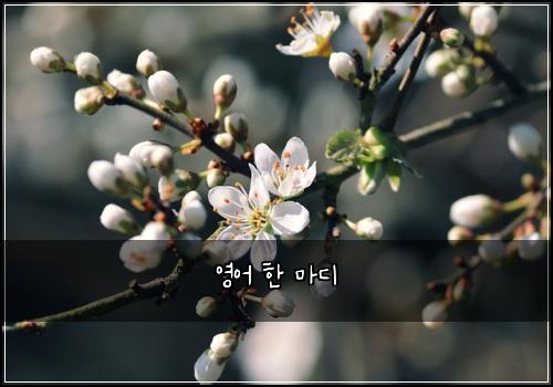 영어 한 마디