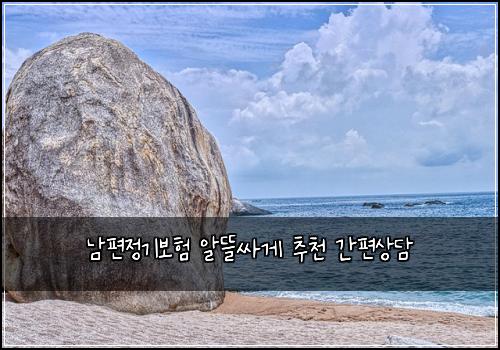남편정기보험 알뜰싸게  추천 간편상담