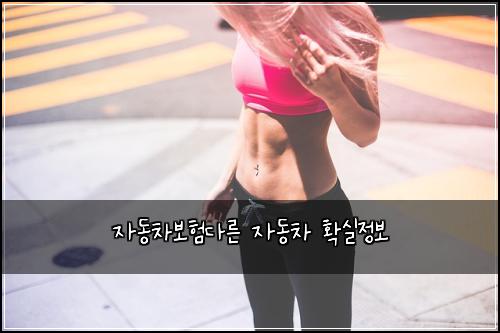 자동차보험다른 자동차 확실정보