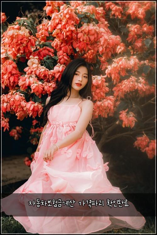 자동차보험금계산 가격파괴 확인완료