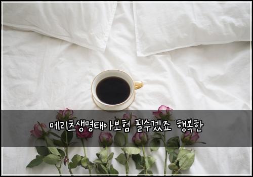 메리츠생명태아보험 필수겠죠  행복한