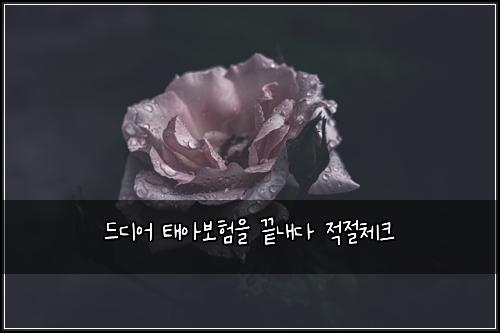 ๋๋์ด ํ์๋ณดํ์ ๋๋ด๋ค ์ ์ ์ฒดํฌ