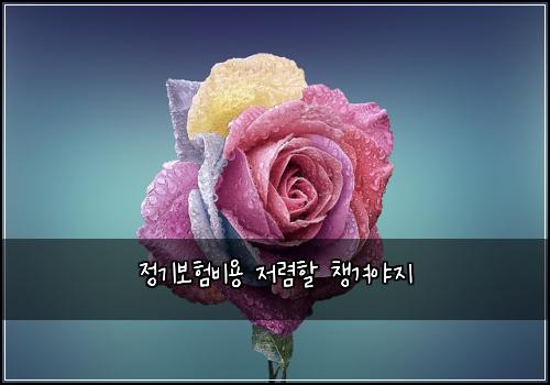 정기보험비용 저렴할 챙겨야지
