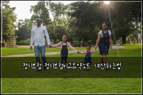 정기보험 정기보험비교요약노트 계산하는법