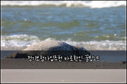 정기보험가입추천 바로확인 꿀팁노트