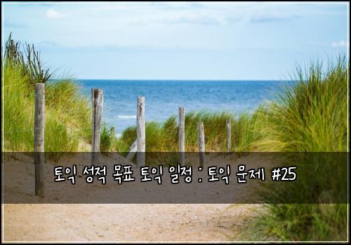 토익 성적 목표 토익 일정 : 토익 문제 #25