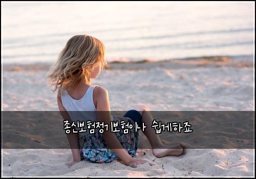 종신보험정기보험이나 쉽게하죠