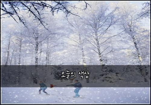 오늘의 색상