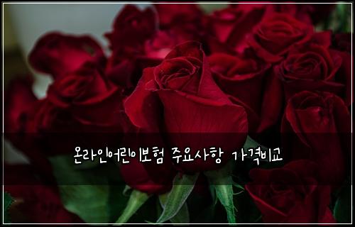 ์จ๋ผ์ธ์ด๋ฆฐ์ด๋ณดํ ์ฃผ์์ฌํญ ๊ฐ๊ฒฉ๋น๊ต