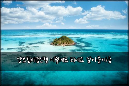 암보험비갱신형 이렇게도 되네요 알아볼까용