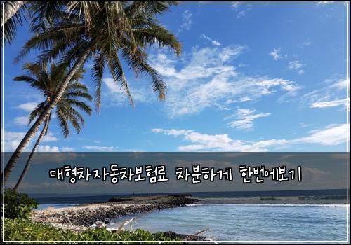대형차자동차보험료 차분하게 한번에보기
