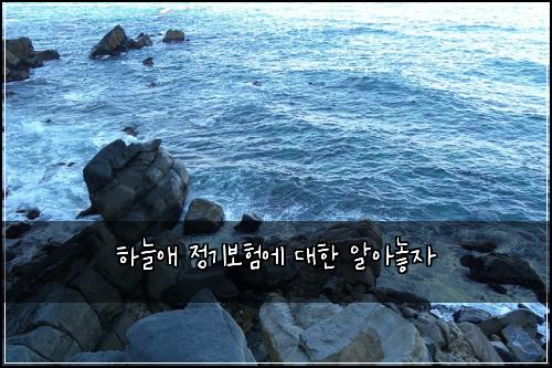 하늘애 정기보험에 대한 알아놓자