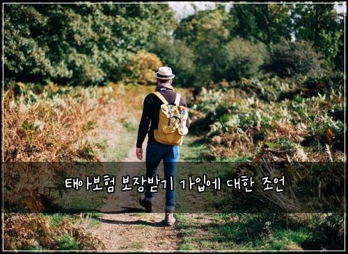 태아보험 보장받기  가입에 대한 조언