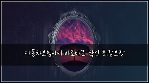 자동차보험나이 바로바로 확인 최강보장
