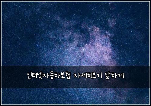 인터넷자동차보험 자세히보기  알차게