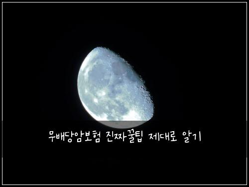 무배당암보험 진짜꿀팁  제대로 알기