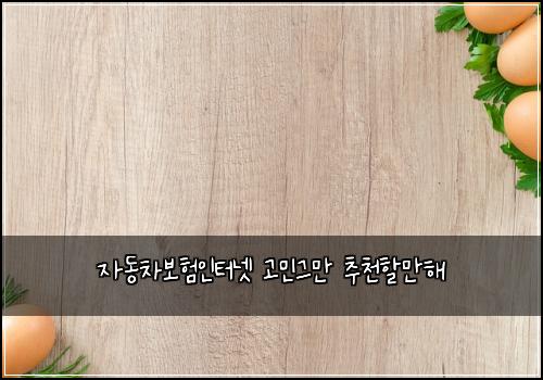 자동차보험인터넷 고민그만 추천할만해