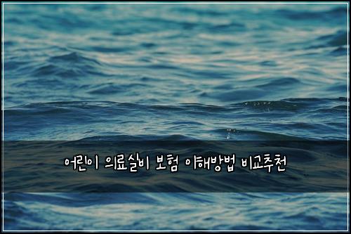 ์ด๋ฆฐ์ด ์๋ฃ์ค๋น ๋ณดํ ์ดํด๋ฐฉ๋ฒ ๋น๊ต์ถ์ฒ