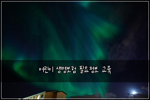 어린이 생명보험 필요정보  교육