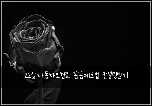 22살자동차보험료 꼼꼼체크법 컨설팅받기