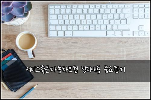 서비스좋은자동차보험 정리내용  중요한거